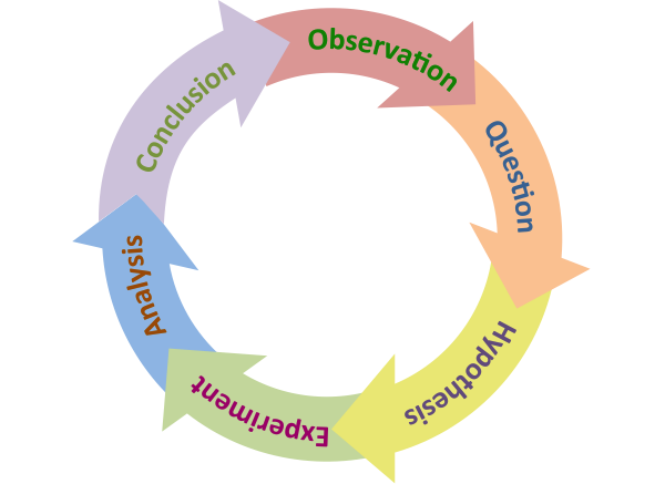 a drawing of the skills of scientific investigation circle